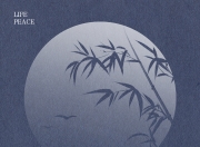开云体育入口-视野开阔球场争锋，团队合作默契十足的简单介绍