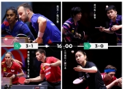 开云体育中国-法国乒乓球队轻取德国乒乓球队，水谷隼关键制胜的简单介绍