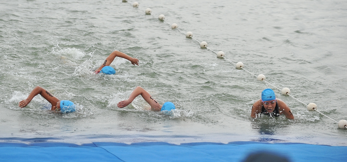场面火爆！游泳观众席沸腾不已的简单介绍